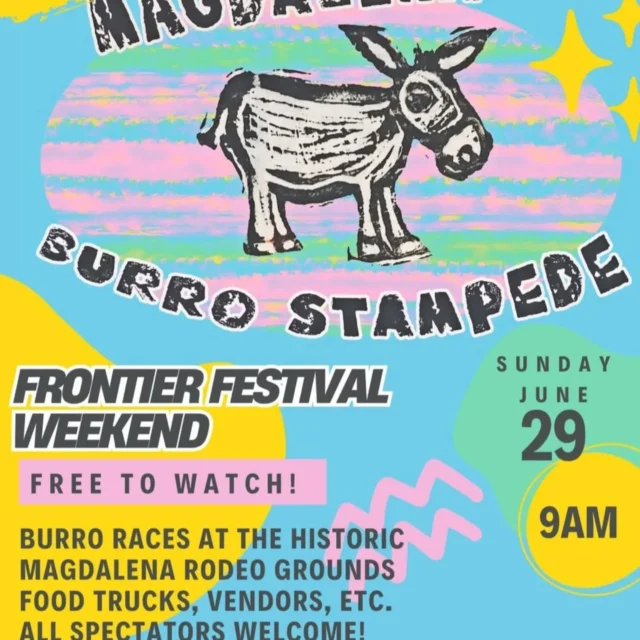 BURRO STAMPEDE! Coming up on Sunday in Magdalena!